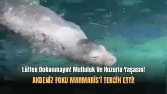 Marmaris'in En Özel Misafiri!