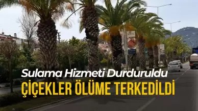 Marmaris'te Refüjlerdeki Çiçekler Kurumaya Terk Edildi!