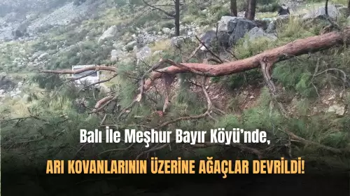Fırtınanın Etkisiyle Arı Kovanlarının Üzerine Ağaç Devrildi!