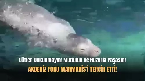 Marmaris'in En Özel Misafiri!