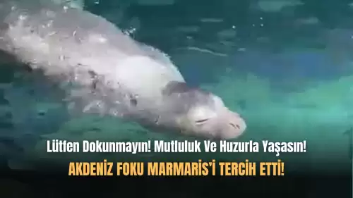 Marmaris'in En Özel Misafiri!